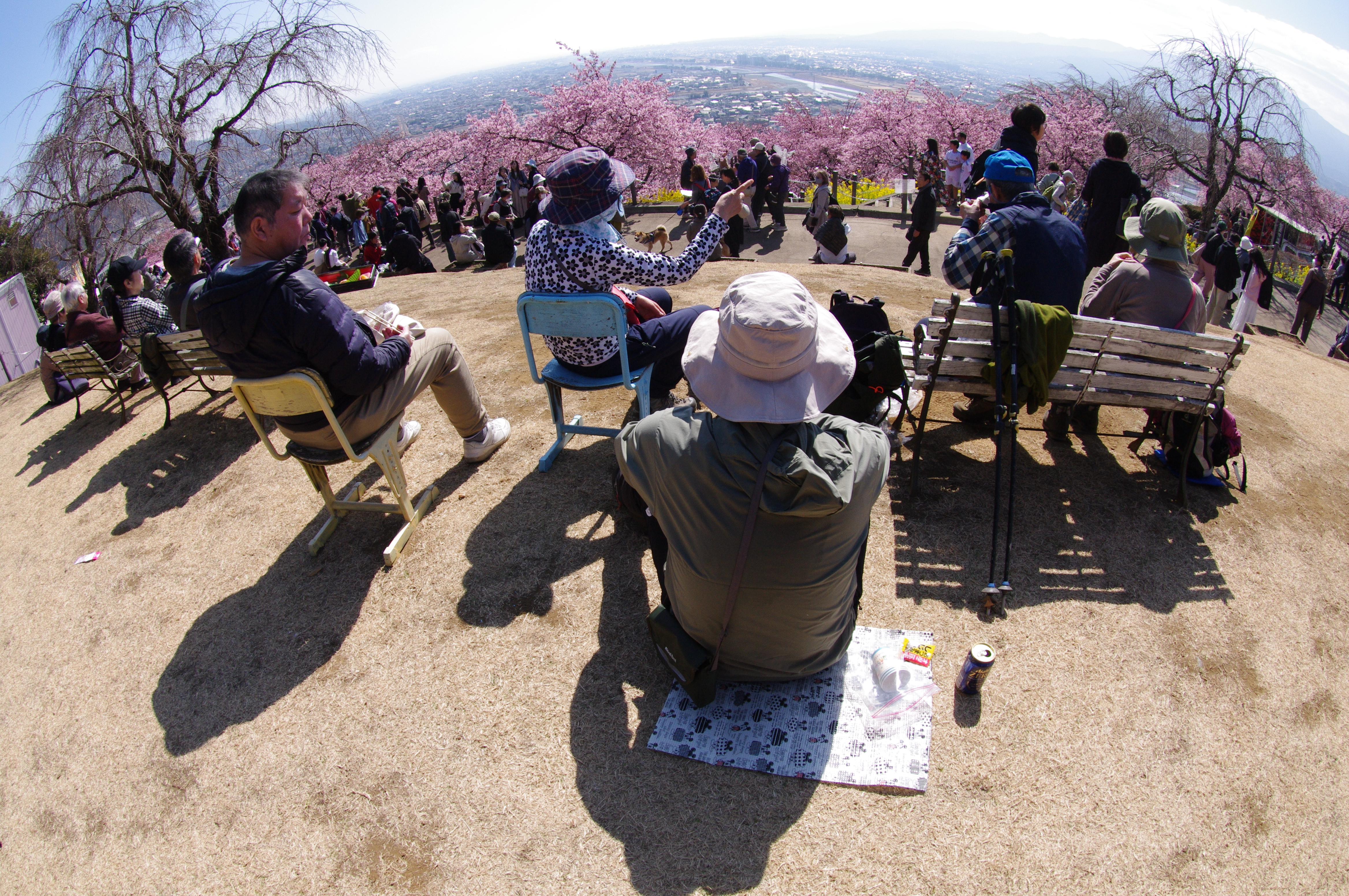にぎわう松田町