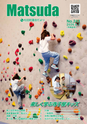 243号