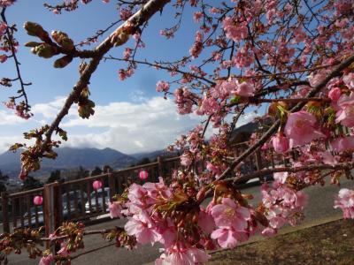 松田町西平畑公園子どもの館から富士山方向の写真