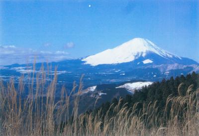 高松山からの富士山